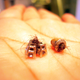 Illustration for article titled The Grossest Earring-Removal Story You'll Hear This Week